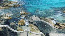 Imagen principal de la ficha